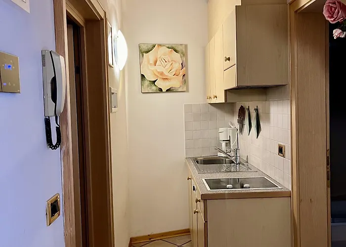 アパートホテル Wellness Panorama - Check-in At Olympia アラッバ